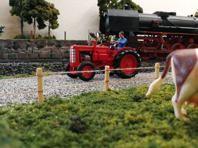 1:32 Anlage mit Feldbahn