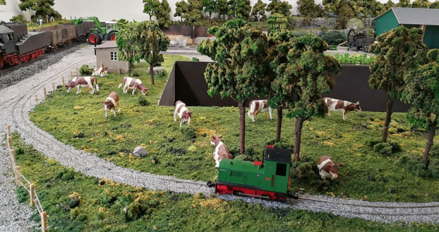 1:32 Anlage mit Feldbahn