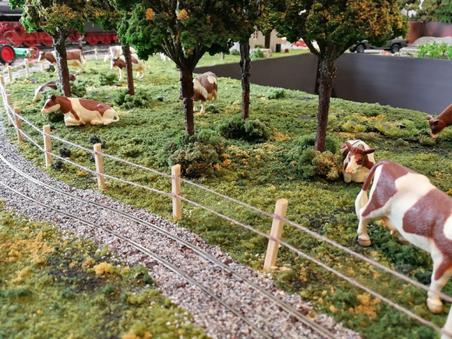 1:32 Anlage mit Feldbahn
