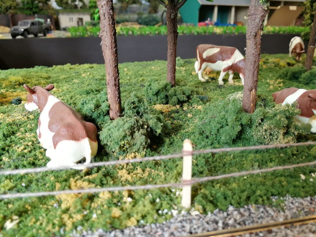 1:32 Anlage mit Feldbahn