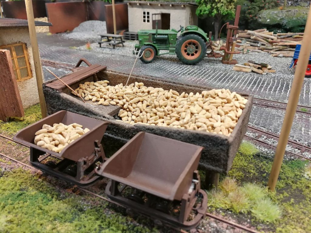 1:32 Anlage mit Feldbahn