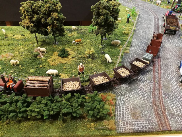 1:32 Anlage mit Feldbahn